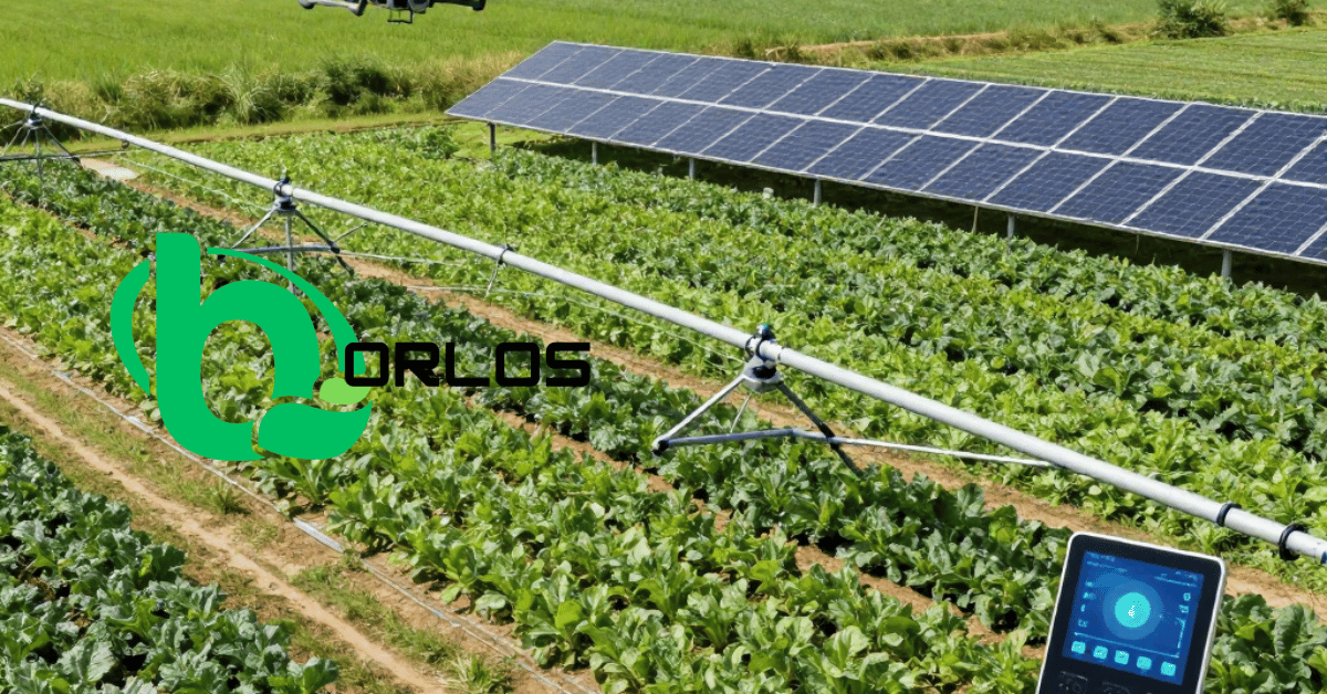 The Role of Technology in Sustainable Farming (Without Losing the Human Touch)